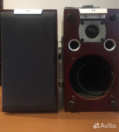 Полочная акустика Audiovector K1 (Дания)