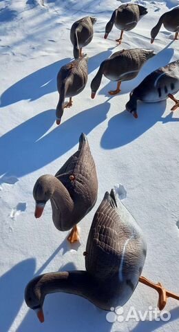 Чучела гусей охота