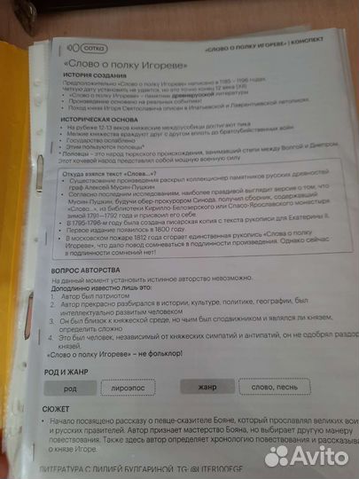 Конспекты и скрипты сотки для егэ по литературе