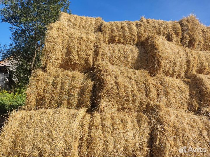 Солома в рулонах с доставкой