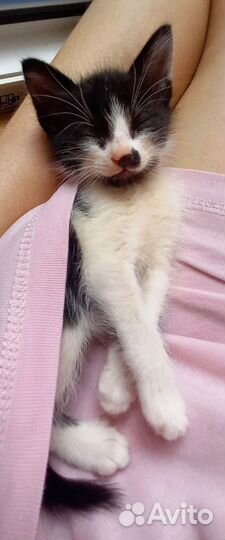 Мальчик 1 месяц