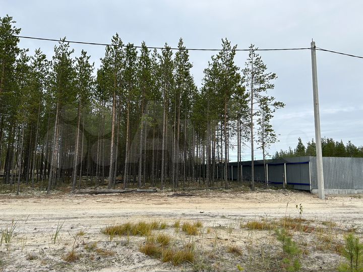 Участок 11 сот. (ИЖС)