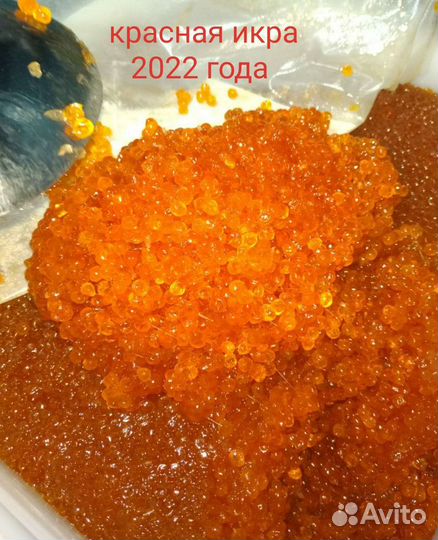 Икра красная