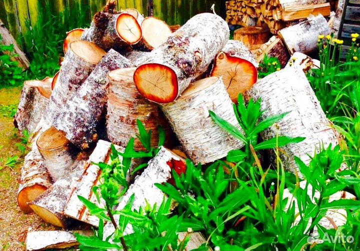 Дрова отборные