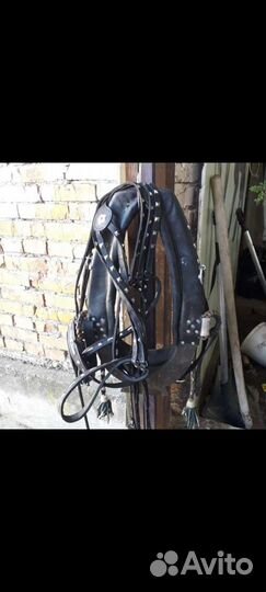 Упряжь для пони