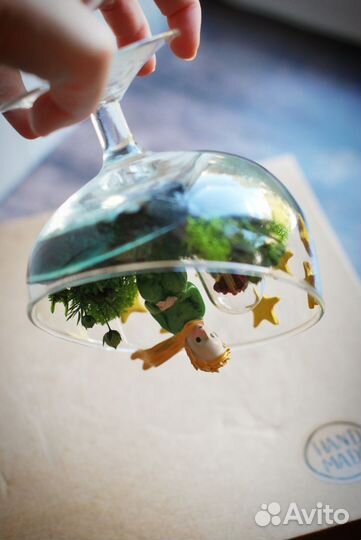 Флорариум моссариум Маленький принц