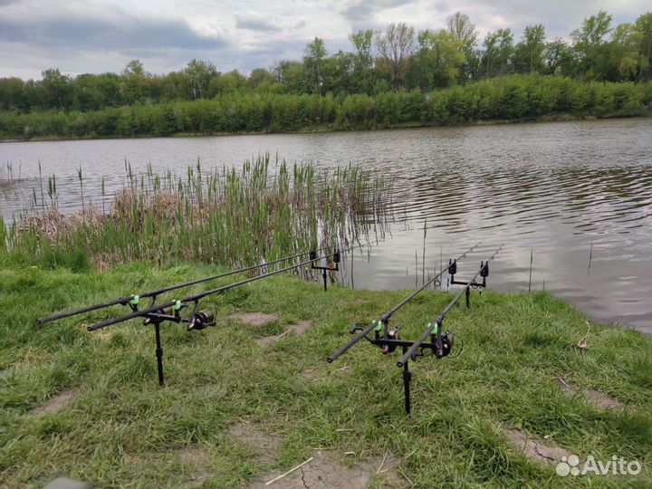Карповые удилища Daiwa black widow 3.90