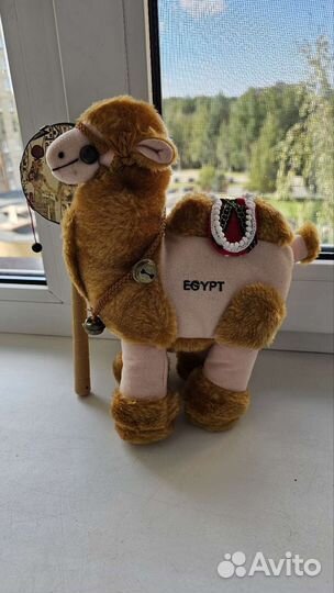 Сувениры из Египта