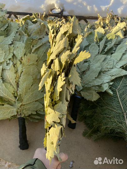 Веники для бани