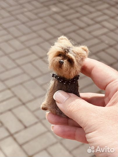 Брошка йорк