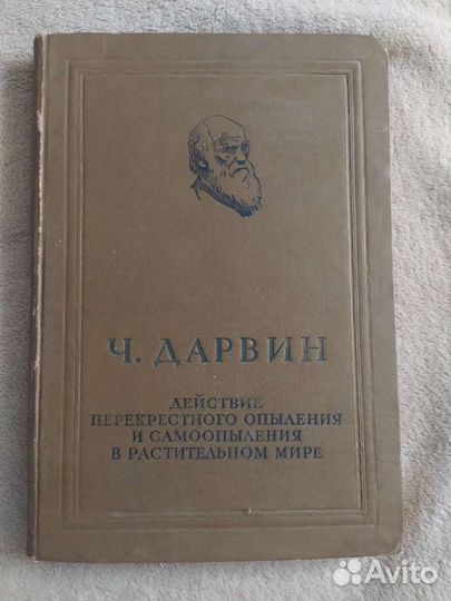 Дарвин