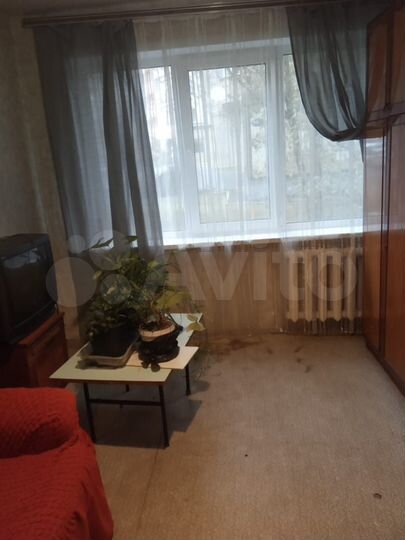 1-к. квартира, 33 м², 1/5 эт.