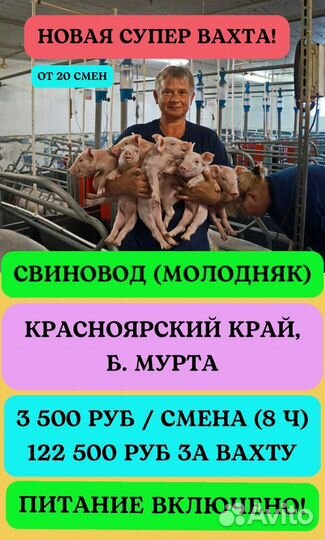 Свиновод вахта