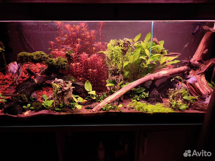 Украшение для аквариума