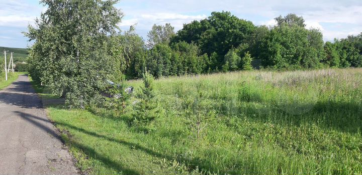 Участок 20 сот. (ИЖС)