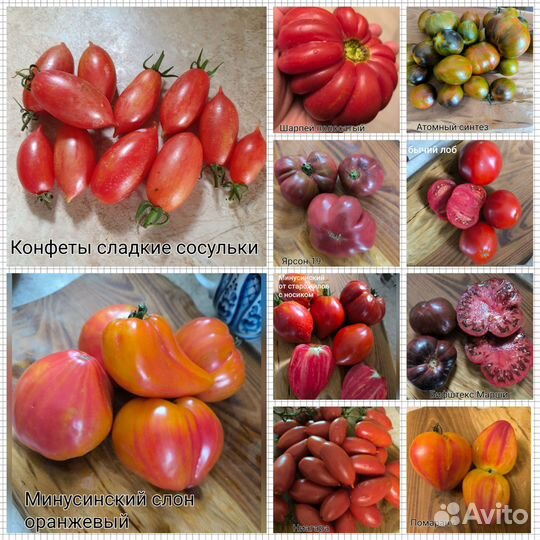 Семена коллекционных сортов томатов