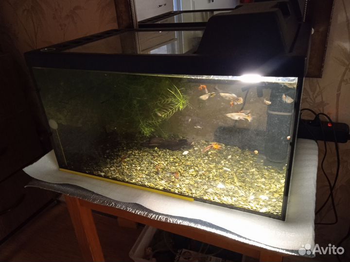 Аквариум