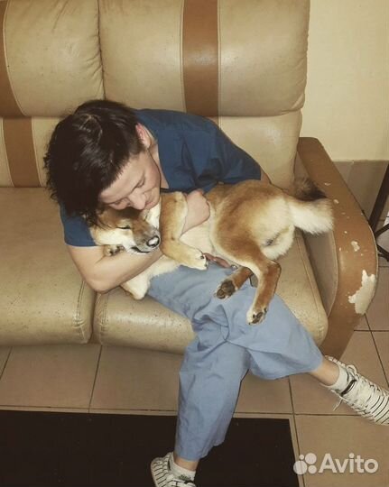 Усыпление животных на дому (эвтаназия )