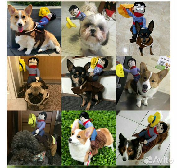 Для животных костюмчик наездник ковбой