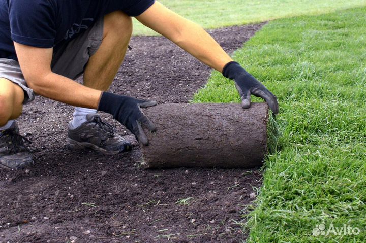 Укладка рулонных газонов под ключ