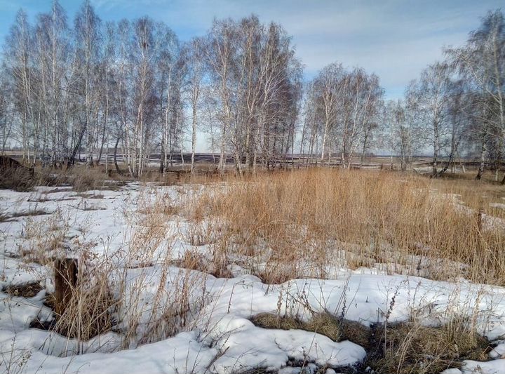 Участок 10 сот. (ИЖС)