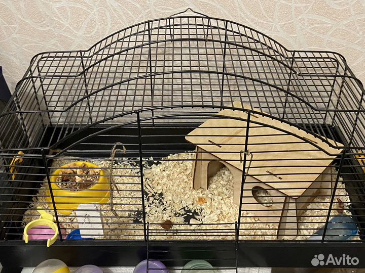 Клетка для грызунов