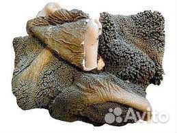 Рубец говяжий