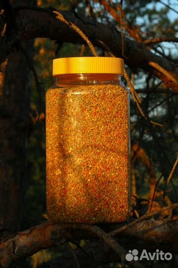 Пыльца пчелиная