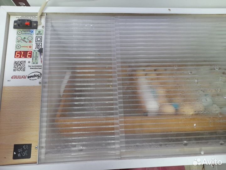 Инкубатор норма луппер