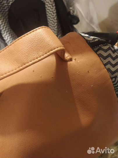 Коляска anex sport