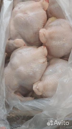 Тушка цыпленка бройлера (охлажденная)