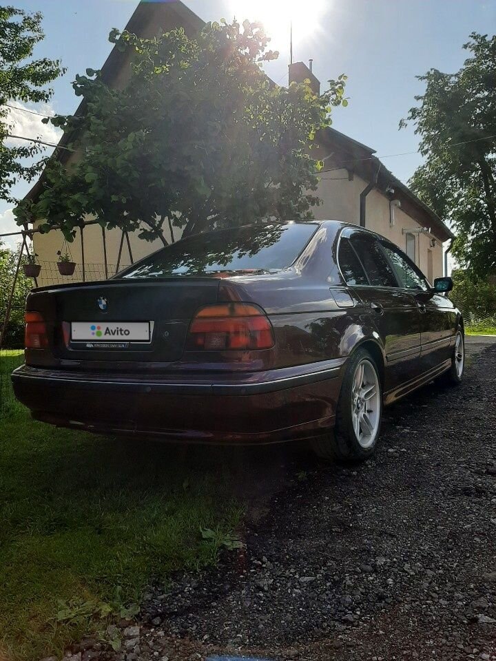 BMW 5 серия: фото владельца