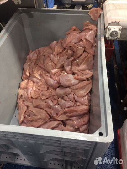 Мясо индейки оптом