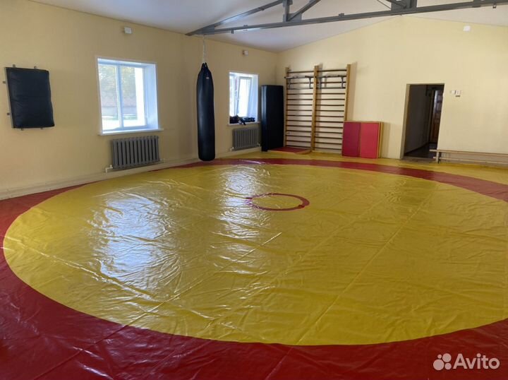 Почасовая аренда игрового зала и зала борьбы