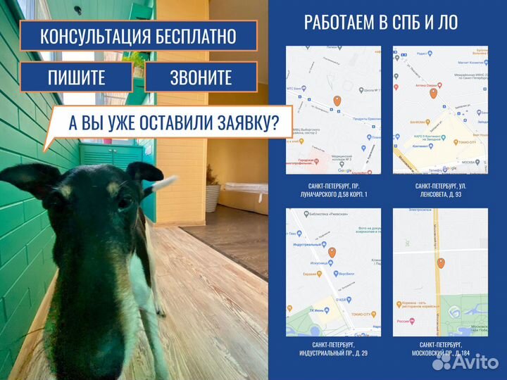 Пластиковые окна в квартиру, от производителя