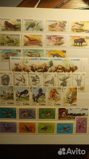 Марки Фауна СССР Зарубежные 1959-1982г