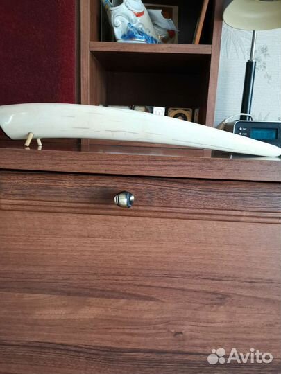 Клык моржа (имитация) Чукотка