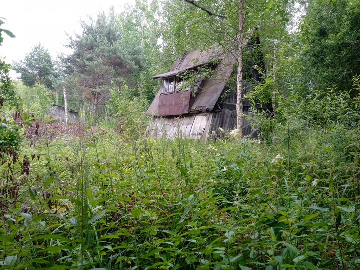 Участок 10 сот. (СНТ, ДНП)