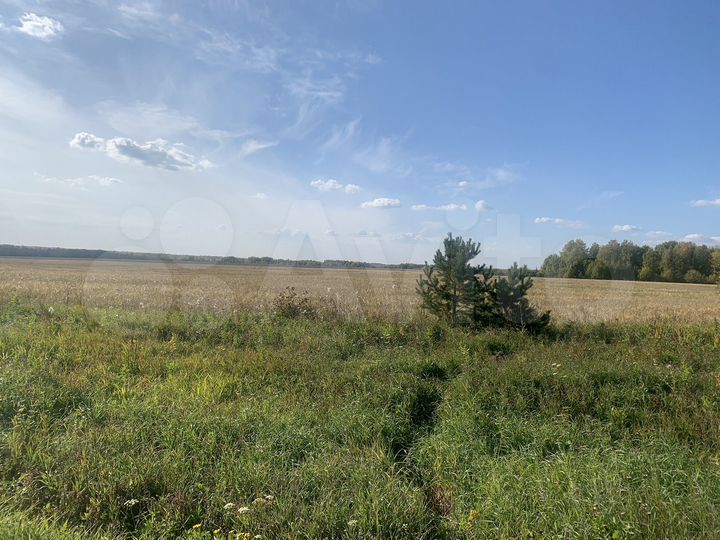 Участок 15,6 га (СНТ, ДНП)
