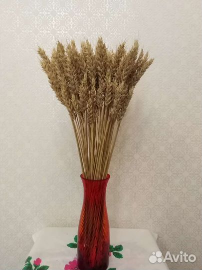 Колосья пшеницы сухоцвет