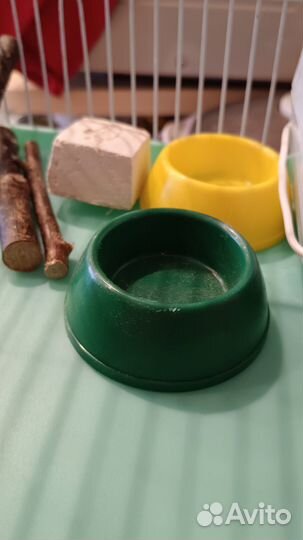 Клетка для грызунов бу