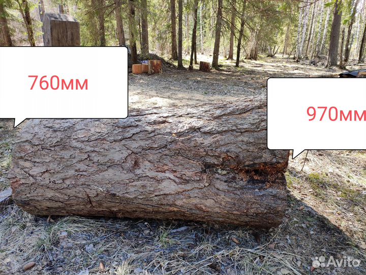 Пень для слеба из лиственницы