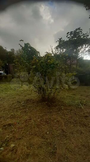 Участок 5,2 сот. (СНТ, ДНП)