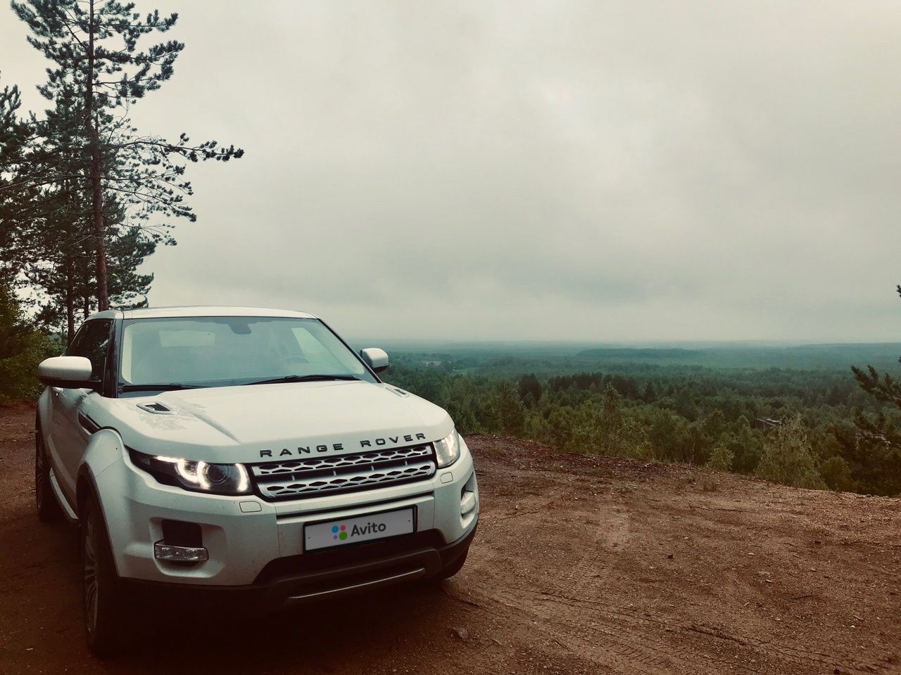 Land Rover Range Rover Evoque: фото владельца