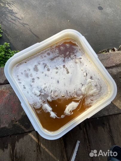 Мед светлое разнотравье с Алтая 2024