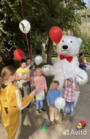 Белый мишка поздравление ростовой медведь аниматор