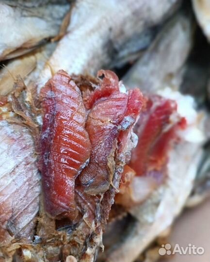 Вобла вяленая