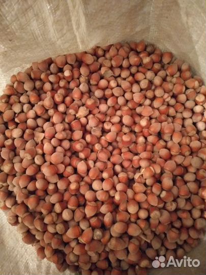 Продаю орех фундук