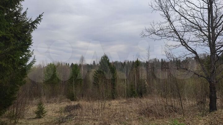 Участок 20 сот. (ИЖС)