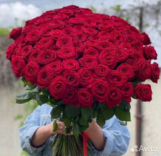 Букет цветов 101 роза, 301 роза, 501 роза, 1001